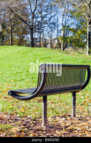 VERTIKALE SELEKTIVEN FOKUS BILD EINES METALL-PARK BENCH IM HERBST Stockfoto