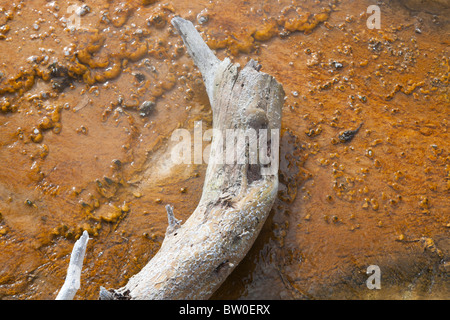 Brunnen Sie Paintpots 7 - Firehole, Yellowstone-Nationalpark Stockfoto