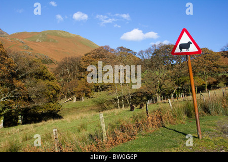 Buttermere Schafe unterzeichnen Herbst englischen Lake District national Park Cumbria England uk gb Stockfoto