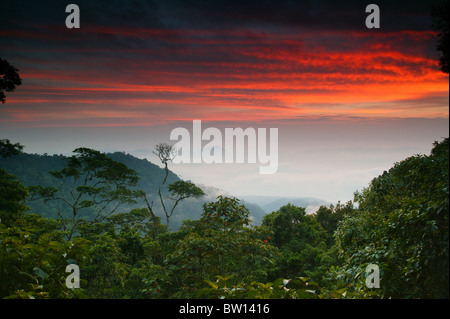 Panamalandschaft mit farbenfrohem Himmel bei Sonnenaufgang im Regenwald im Cerro Pirre, Nationalpark Darien, Provinz Darien, Republik Panama. Stockfoto