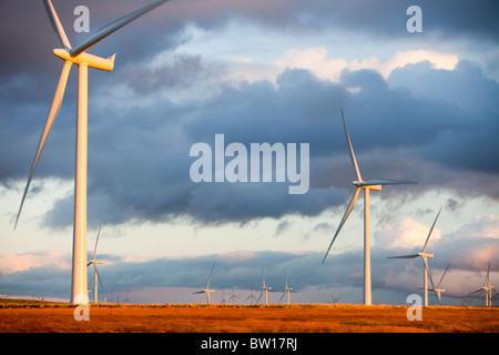 Dämmerung über Whitelee Windpark auf Eaglesham Moor südlich von Glasgow in Schottland, UK, ist Europas größte onshore-Windpark. Stockfoto