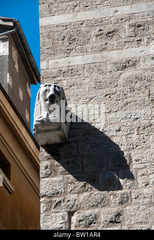 Stein Löwe in der umbrischen Stadt Narni - der Löwe in "die Lion, the Witch and the Wardrobe" vielleicht? Stockfoto