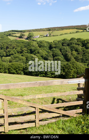 Die kleinen, abgelegenen Kirche in Stoke Pero, die höchstgelegene Kirche auf Exmoor, Somerset - angezeigt durch das bewaldete Tal von Wilmersham Stockfoto