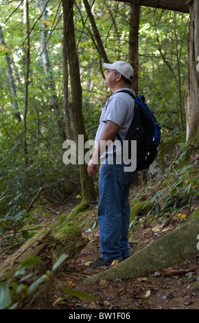 Ein Mann Wandern in den Wäldern bei Pisgah National Forest in Nord-carolina. Er ist eine Pause, während die Schönheit seiner Umgebung bewundern Stockfoto