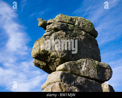 Bowermans Nase Granitfelsen in Hayne Down im Dartmoor National Park in der Nähe von Manaton, Devon, England. Stockfoto