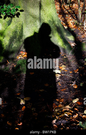 Schatten des Fotografen gegen einen Baum im Wald bei Grappenhall Heys, Warrington, Cheshire im Herbst Stockfoto