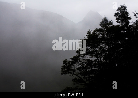 Fiordland-Nationalpark in der Nähe von The Divide auf Neuseelands Südinsel. Stockfoto