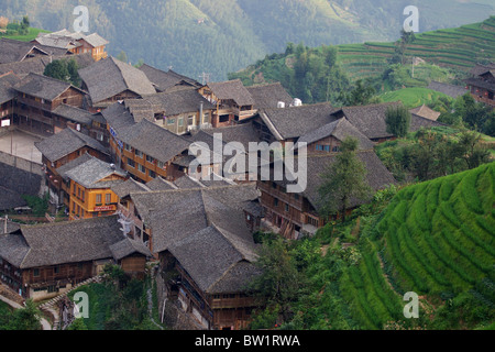 China - Drachen Rückgrat Reisterrassen Stockfoto