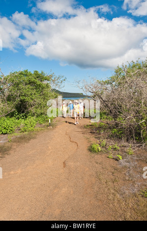 Galapagos-Inseln, Ecuador. Wandern, Post Office Bay, Isla Santa Maria oder Insel Floreana. Stockfoto