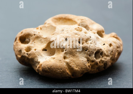 Porösen Stein auf grauem Schiefer Stockfoto