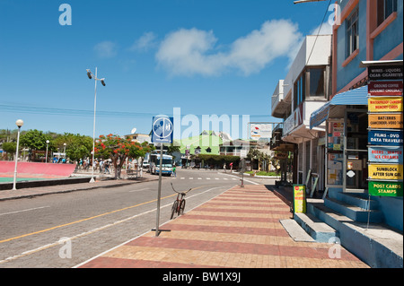 Galapagos-Inseln, Ecuador. Puerto Ayora, Isla Santa Cruz (Insel Santa Cruz). Stockfoto