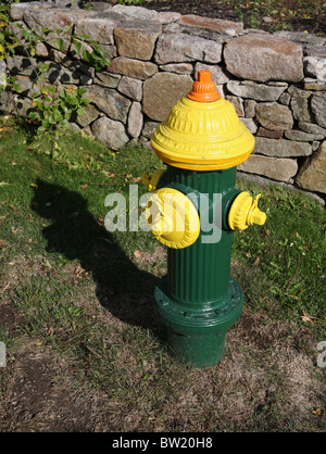 Eine bunt bemalte Hydranten gesehen am Cape Neddick, Maine, USA Stockfoto