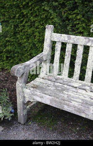 Alte hölzerne Parkbank mit schweren Wachstum von Flechten am RHS Gärten Royal Horticultural Society Garten Rosemoor Devon UK Stockfoto