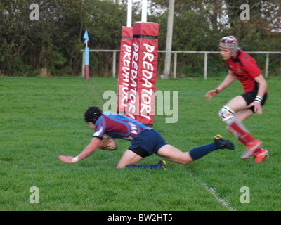 Scoring einen Versuch, Amateur Rugby Spiel, Bude, Cornwall, UK Stockfoto