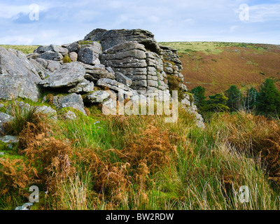 Schwarze Tor auf Brent Moor im Dartmoor National Park in der Nähe von Didworthy, Devon, England. Stockfoto