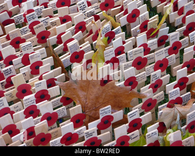 Mohn des Gedenkens auf dem Gelände des Westminster Abbey im 2010 gelegt. Stockfoto