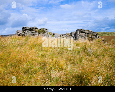 Schwarze Tor auf Brent Moor im Dartmoor National Park in der Nähe von Didworthy, Devon, England. Stockfoto