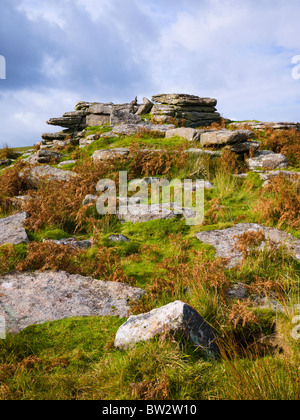 Schwarze Tor auf Brent Moor im Dartmoor National Park in der Nähe von Didworthy, Devon, England. Stockfoto