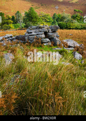 Schwarze Tor auf Brent Moor mit Blick auf die Avon-Tal. Dartmoor-Nationalpark in der Nähe von Didworthy, Devon, England. Stockfoto