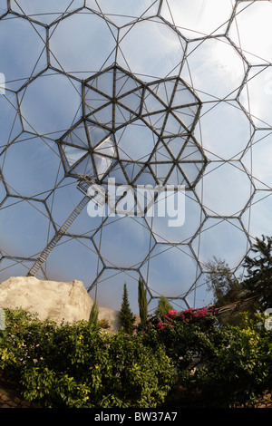 Innere des Mittelmeer Biom Eden Projekt Cornwall UK fisheye-Objektiv Weitwinkel Stockfoto