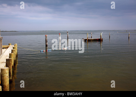 Dock und Schwimmen Schwimmer in der Great South Bay, Messe Hafen, Fire Island, NY Stockfoto