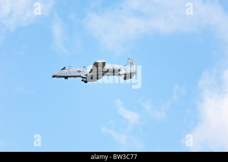 A-10 Thunderbolt Tank Killer tritt in der Air Show im NAS Jacksonville, Florida, auf Stockfoto