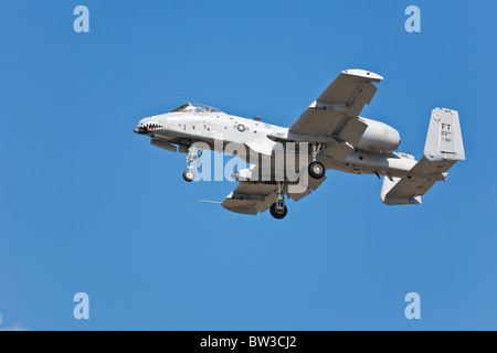 A-10 Thunderbolt Tank Killer tritt in der Air Show im NAS Jacksonville, Florida, auf Stockfoto