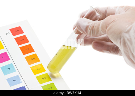 Hand hält Reagenzglas mit pH-Indikator, Farbe, skalieren zu vergleichen Stockfoto
