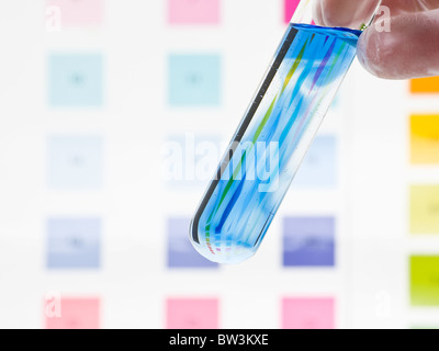 Hand hält Reagenzglas mit pH-Indikator, Farbe, skalieren zu vergleichen Stockfoto