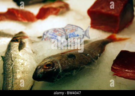 Fisch zum Verkauf an der Mercat De La Boqueria, Las Ramblas, Barcelona Stockfoto