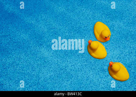 Drei Quietscheentchen schweben auf dem Aquamarin Blau Wasser in einem Schwimmbad. Stockfoto
