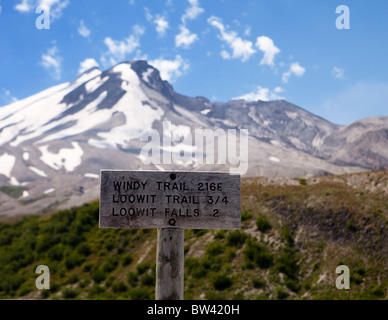 Mt. St. Helens Wanderweg Stockfoto