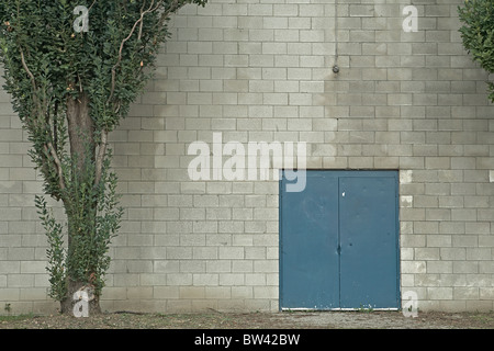 Die Tür neben zwei Bäume, Toronto, Ontario Stockfoto