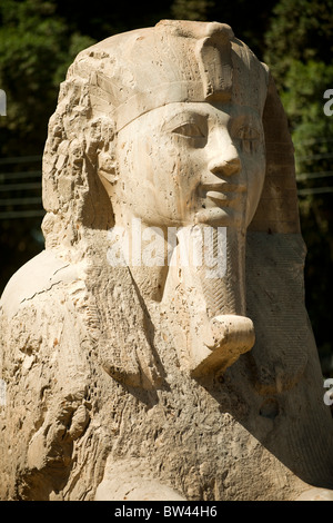 Aegypten, Memphis, Alabaster-Sphinx Stockfoto