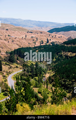 Devils Elbow, in der Nähe von Napier, Route 106 Norden, Nordinsel, Neuseeland Stockfoto