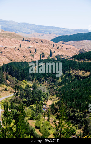 Devils Elbow, in der Nähe von Napier, Route 106 Norden, Nordinsel, Neuseeland Stockfoto