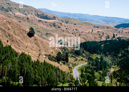 Devils Elbow, in der Nähe von Napier, Route 106 Norden, Nordinsel, Neuseeland Stockfoto