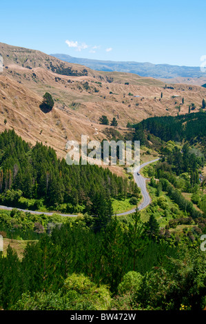 Devils Elbow, in der Nähe von Napier, Route 106 Norden, Nordinsel, Neuseeland Stockfoto