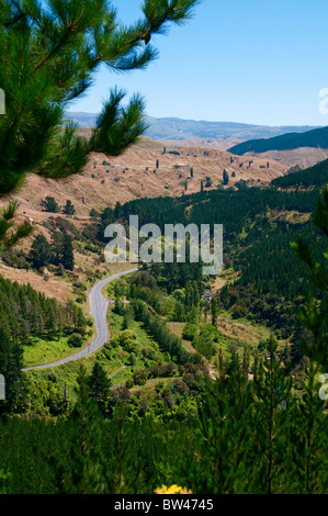 Devils Elbow, in der Nähe von Napier, Route 106 Norden, Nordinsel, Neuseeland Stockfoto