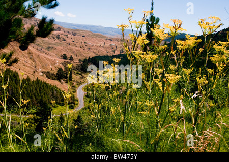 Devils Elbow, in der Nähe von Napier, Route 106 Norden, Nordinsel, Neuseeland Stockfoto