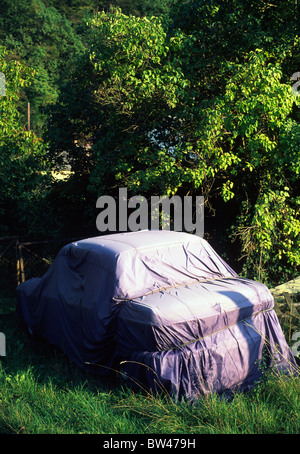 Überdachte Auto in der Natur Stockfoto