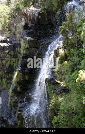 Lissabon fällt in Ukhahlamba Drakensberg Nationalpark, Blyde River Canyon, Mpumalanga, Südafrika Stockfoto