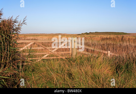 Eine traditionelle fünf bar Bereich Tor auf Beweidung Sümpfe an der North Norfolk Küste Salthouse, England, Vereinigtes Königreich. Stockfoto