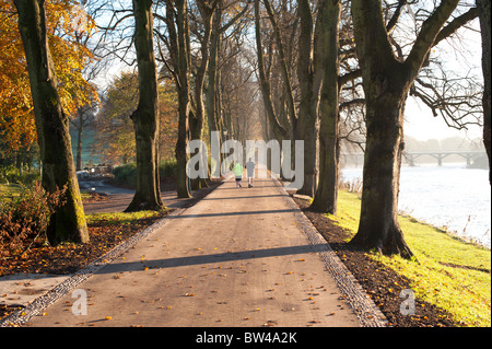 Allee der Bäume durch Avenham/Miller Park in Preston Stockfoto