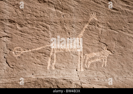 Giraffe und kleinere Tier geätzt auf Felsen in der östlichen Wüste von Ägypten Stockfoto