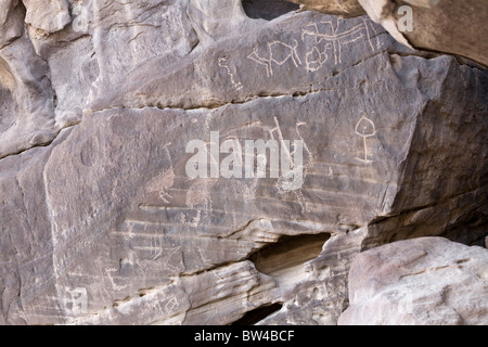 Felszeichnungen von Tieren und Strauß auf dunklen Felswand in der östlichen Wüste, Ägypten Stockfoto