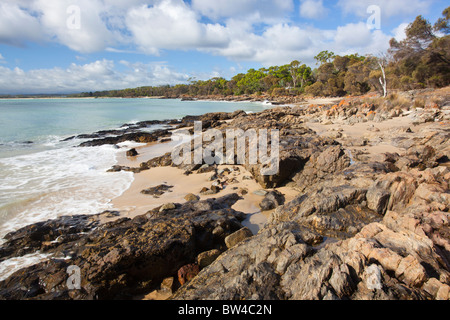 Roten Flechten bedeckt Felsen am Strand von Bridport im nördlichen Tasmanien Stockfoto