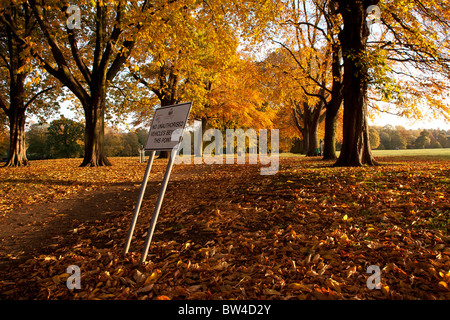 Herbstfarben in Abington Park Northampton Stockfoto