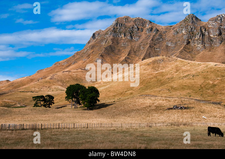 Te Mata Peek, Tukituki Tal, Fluss, Te Mata Rd, Rolling Hills von Kaokaoroa, Raukawa Ranges, Hawke's Bay, Havelock North, Neuseeland Stockfoto