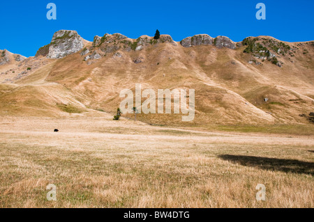 Te Mata Peek, Tukituki Tal, Fluss, Te Mata Rd, Rolling Hills von Kaokaoroa, Raukawa Ranges, Hawke's Bay, Havelock North, Neuseeland Stockfoto